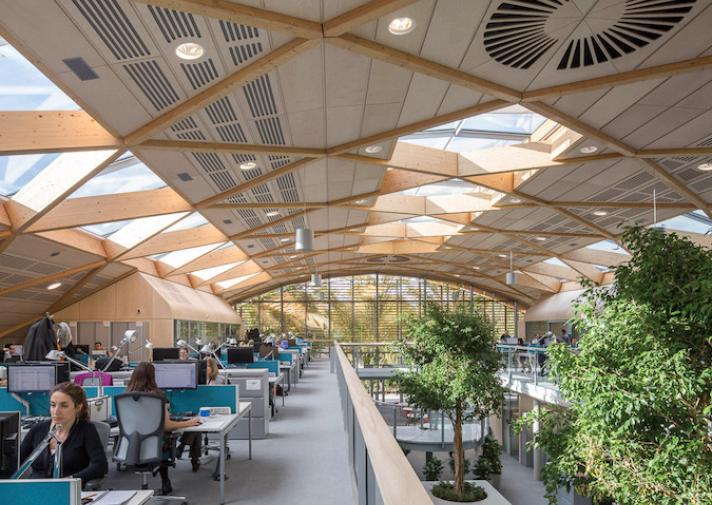 Biophilic Design is Changing the Environment | WoodSolutions